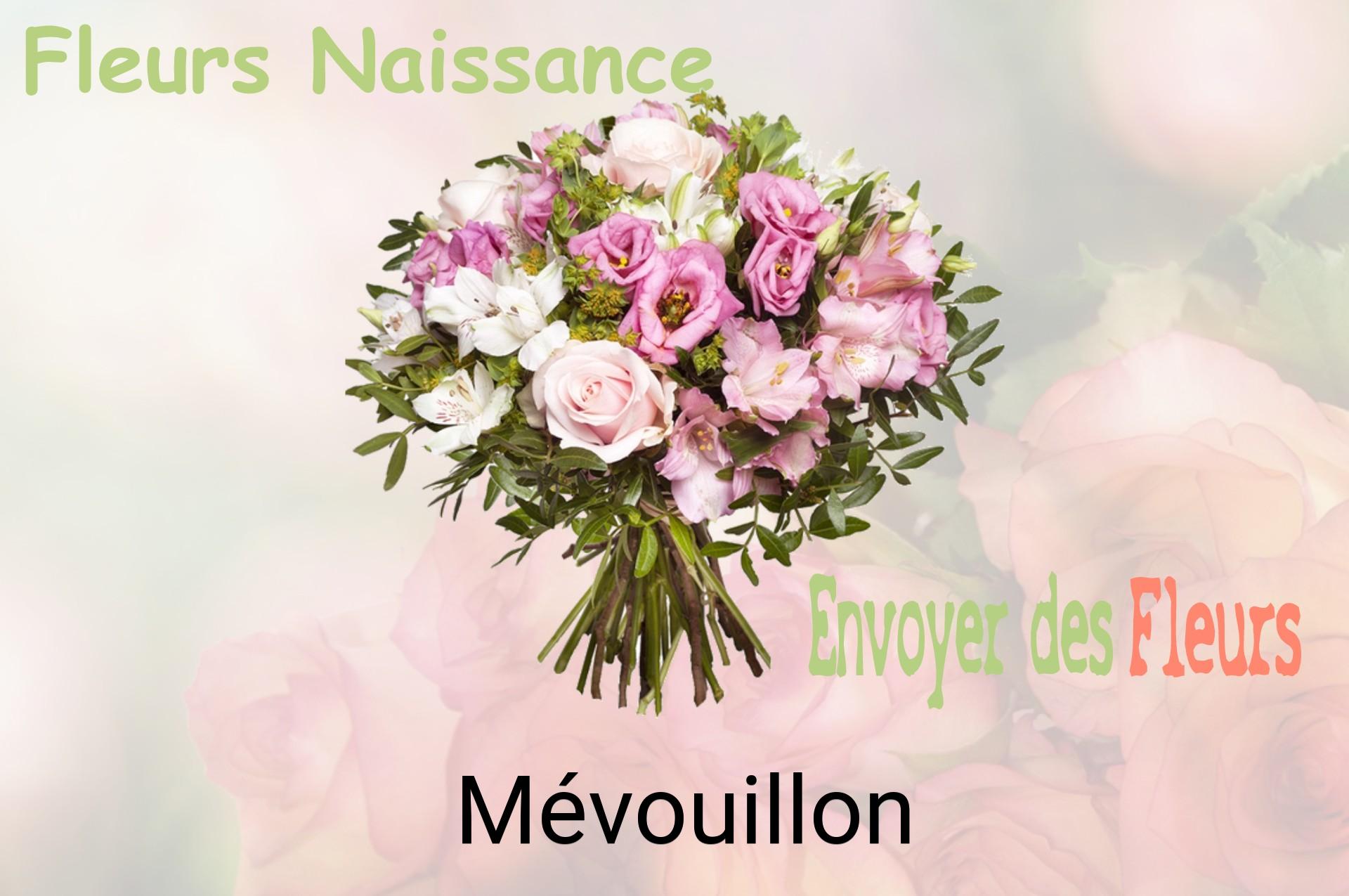 Bouquet de fleurs de naissance livré à Mévouillon